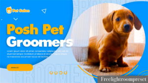 Pet Grooming Salon Promotion GYRMW3X