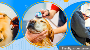 Pet Grooming Salon Promotion GYRMW3X