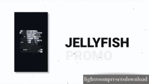 Jellyfish Promo INST – 38416670