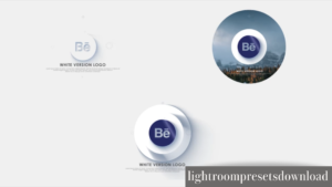 Videohive – Logo Reveal – 38342079