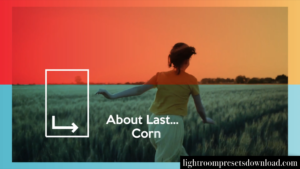 Videohive – Summer Opener – 38469454 