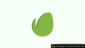 Gravity Logo for Premiere Pro – Video Template – 38884744
