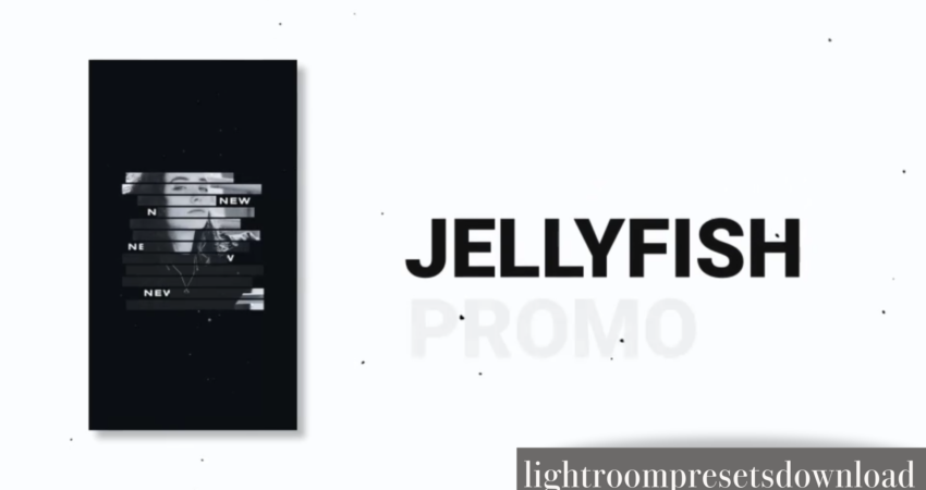 Jellyfish Promo INST – 38416670