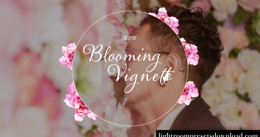 Videohive – Blooming Vignettes 4K – 38444833